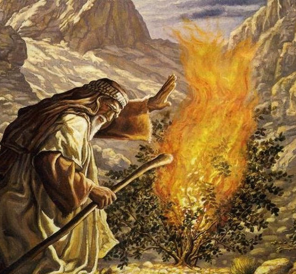 Фёдор Лорель