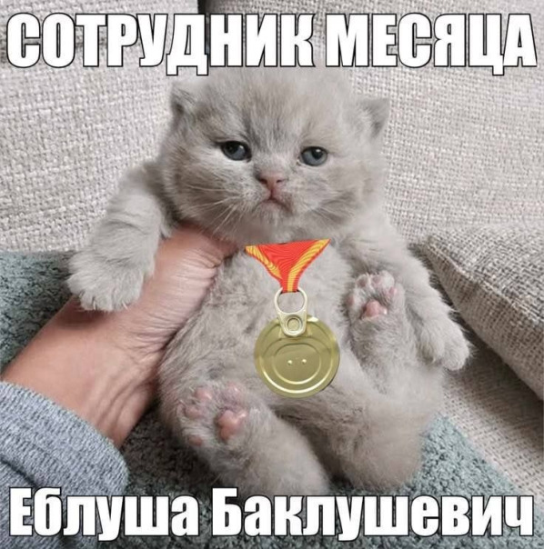 Андрей Захаров