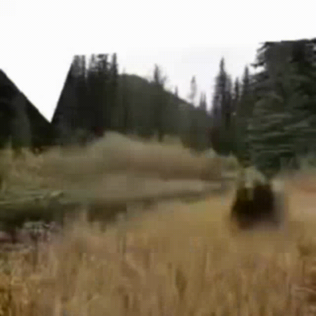 +уши