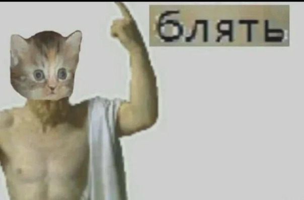 Мемы