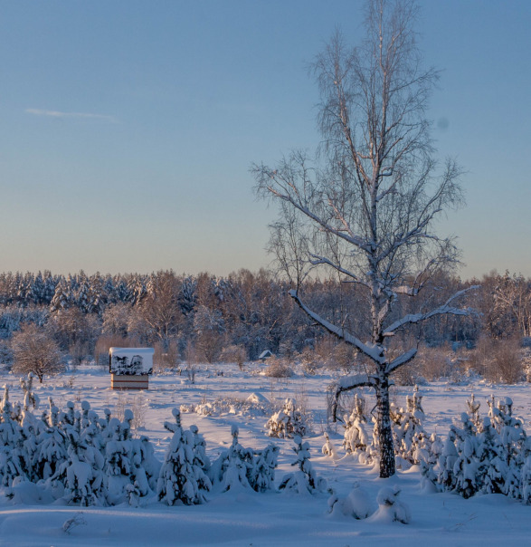 Фотографии со страницы