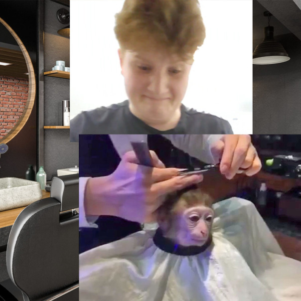 Profile backdrop (system)...